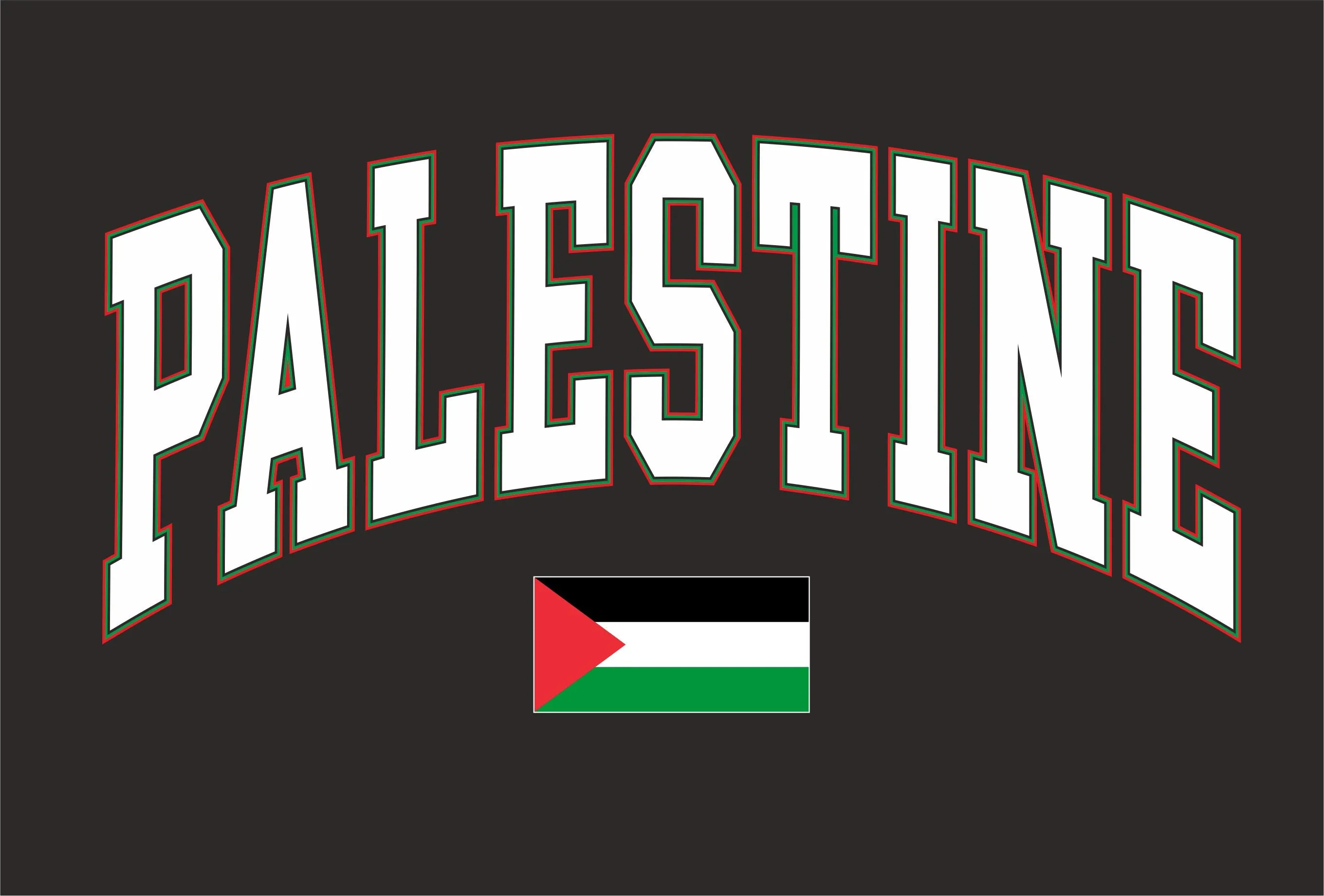 Palestine College Printed Hoody